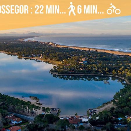 Hossegor - Vue Ocean - Plage - Couple - Famille Soorts-Hossegor Εξωτερικό φωτογραφία
