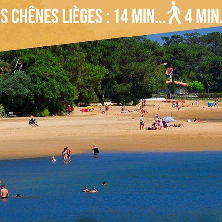 Hossegor - Vue Ocean - Plage - Couple - Famille Soorts-Hossegor Εξωτερικό φωτογραφία